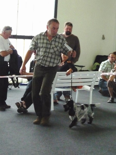 Litomerice 2009 049.jpg